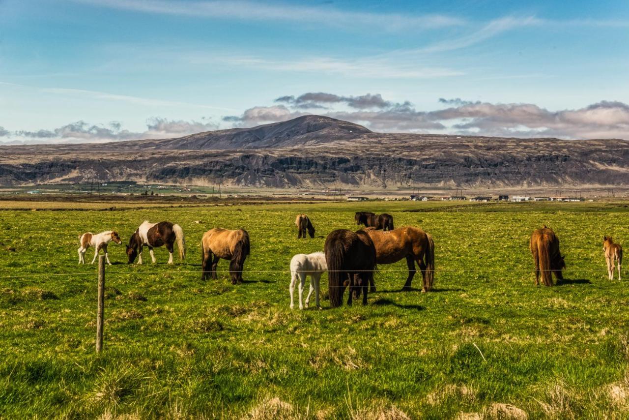 Reykjadalur Guesthouse Hveragerdi Zewnętrze zdjęcie